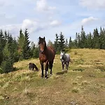 ロッジ зелениця